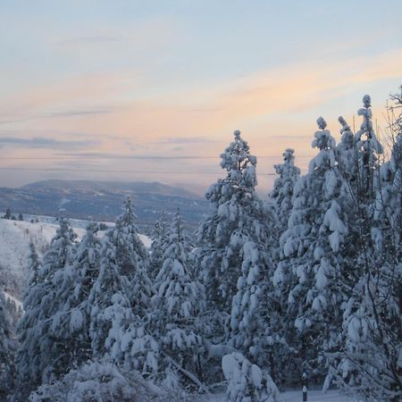 Whitebird Summit Lodge Grangeville Εξωτερικό φωτογραφία