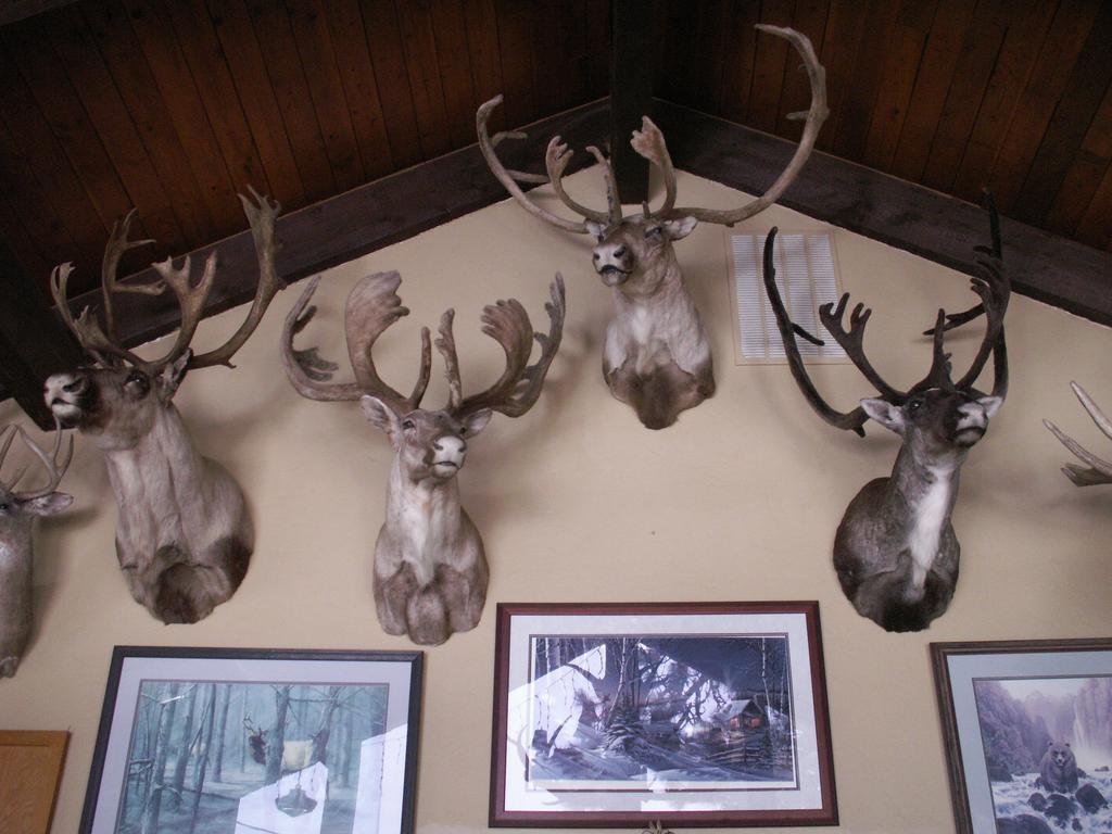 Whitebird Summit Lodge Grangeville Εξωτερικό φωτογραφία