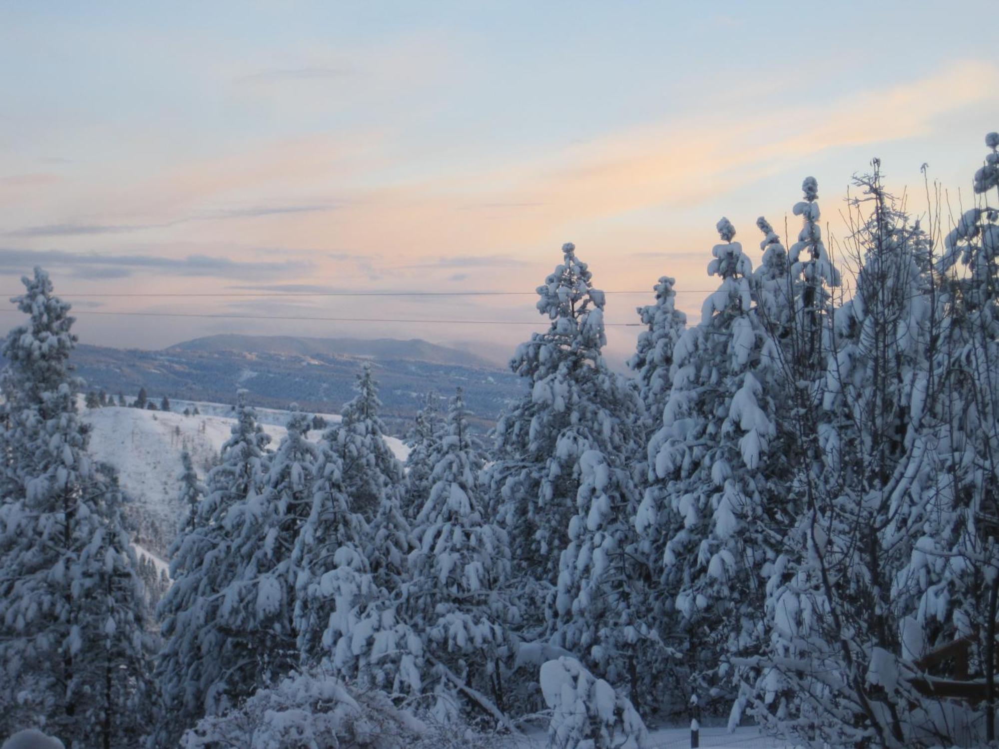 Whitebird Summit Lodge Grangeville Εξωτερικό φωτογραφία
