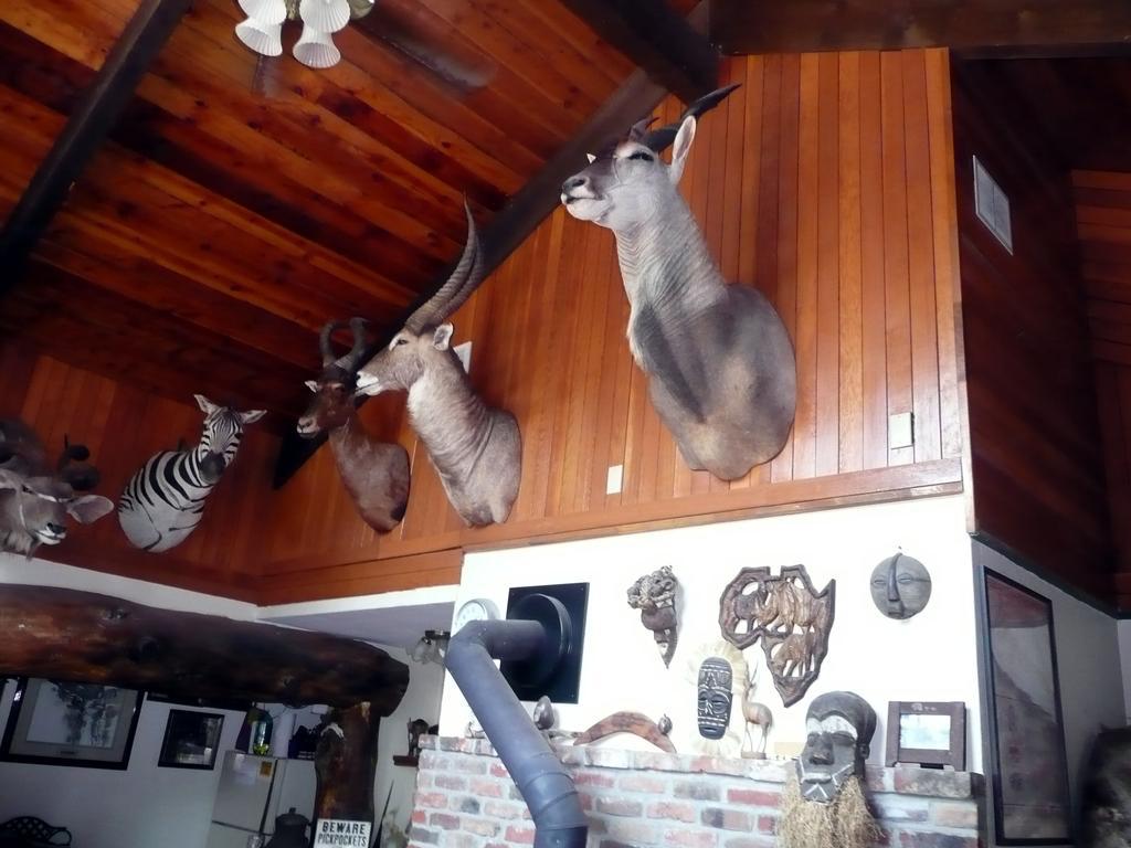 Whitebird Summit Lodge Grangeville Εξωτερικό φωτογραφία