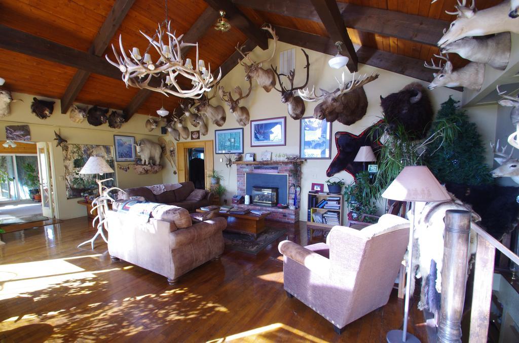 Whitebird Summit Lodge Grangeville Εξωτερικό φωτογραφία