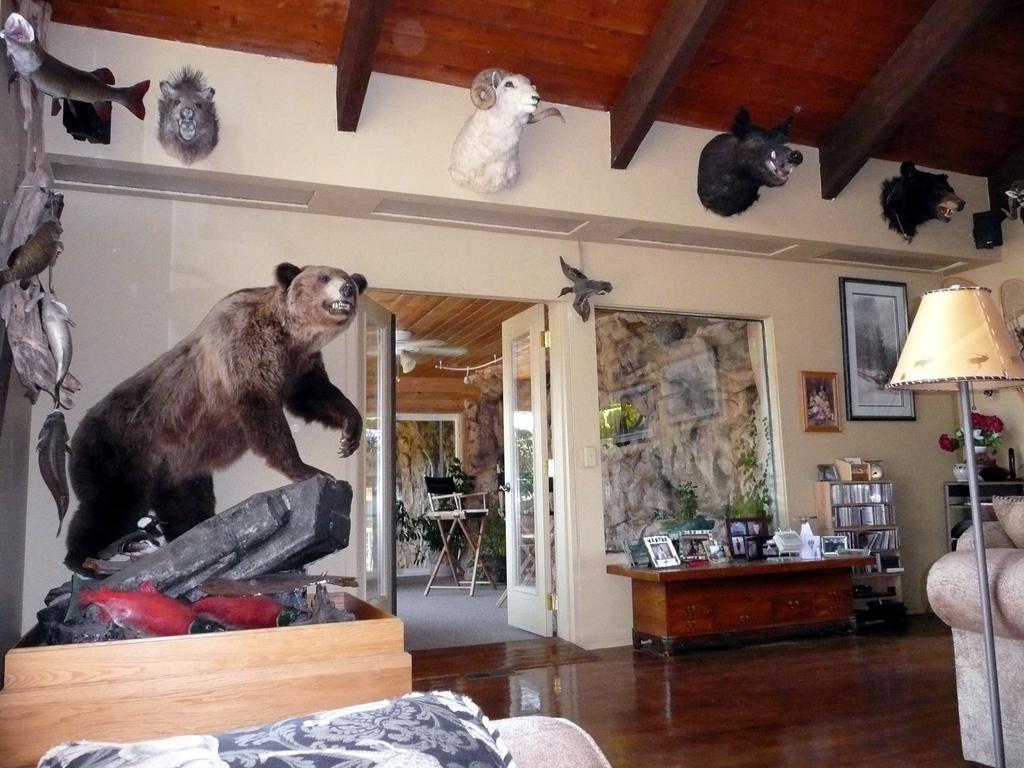 Whitebird Summit Lodge Grangeville Εξωτερικό φωτογραφία