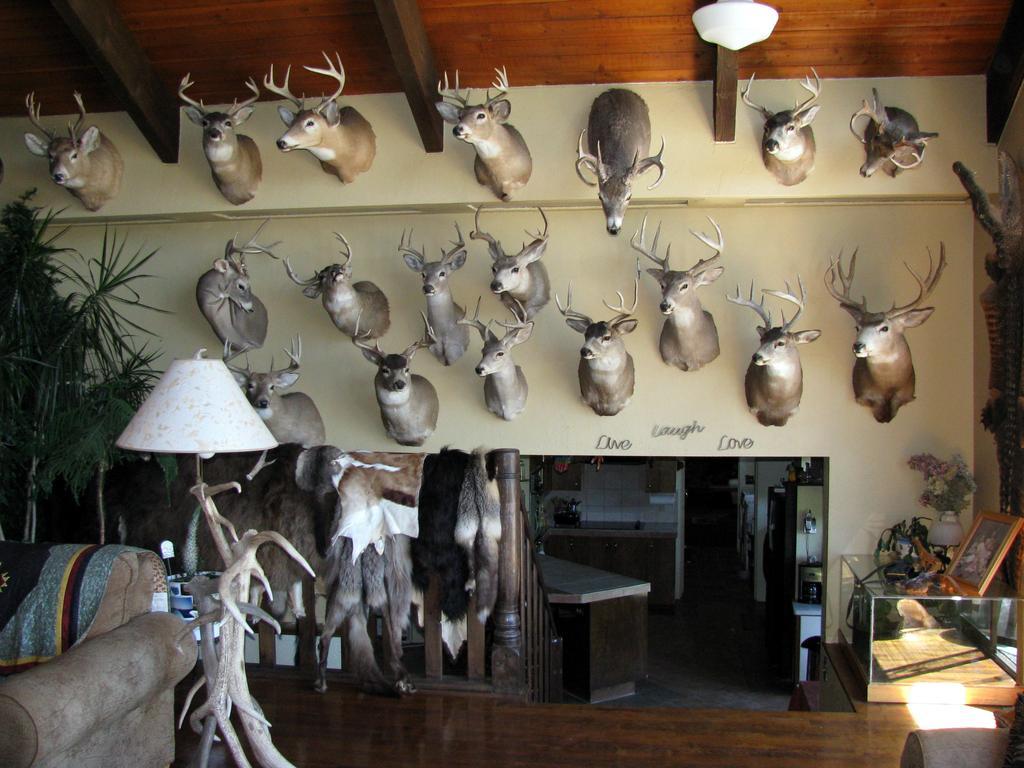 Whitebird Summit Lodge Grangeville Εξωτερικό φωτογραφία