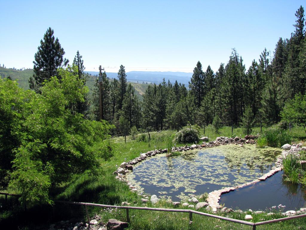 Whitebird Summit Lodge Grangeville Εξωτερικό φωτογραφία