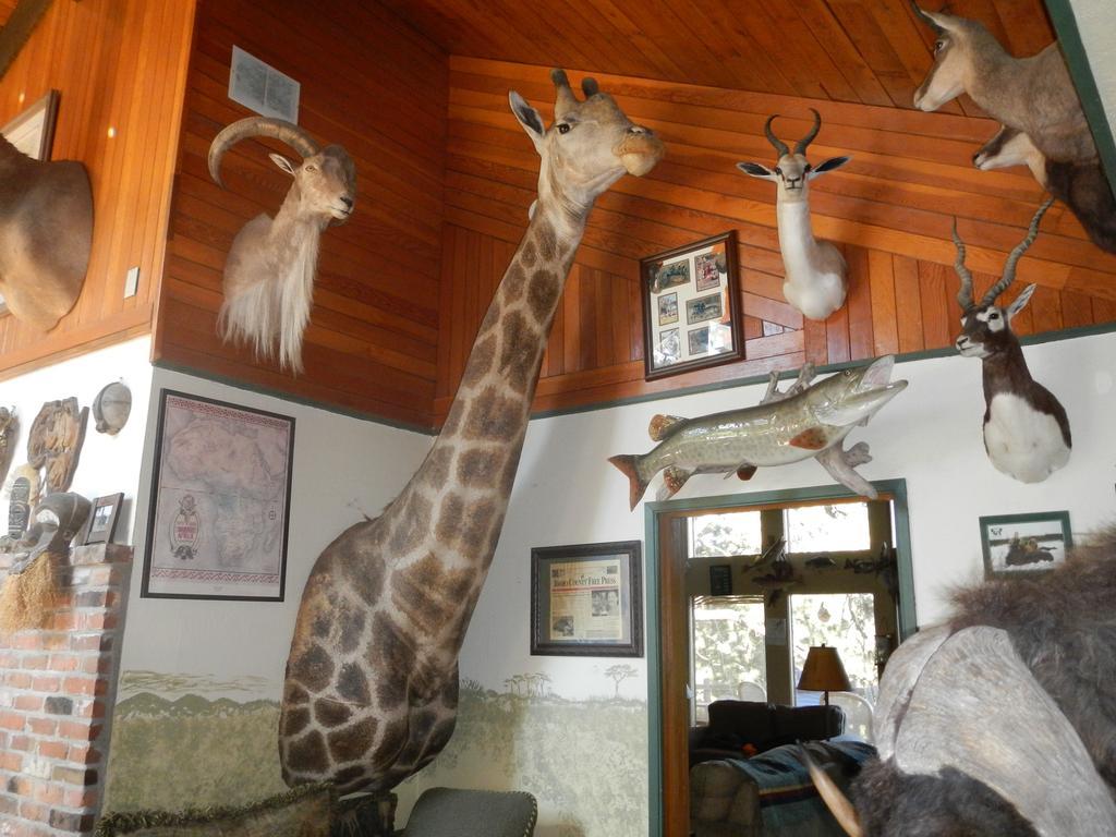Whitebird Summit Lodge Grangeville Εξωτερικό φωτογραφία