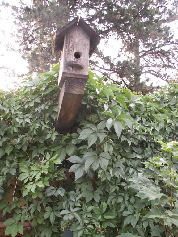 Whitebird Summit Lodge Grangeville Εξωτερικό φωτογραφία